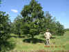 SOUTHERN MAG.jpg (125852 bytes)