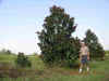 blanch.jpg (79490 bytes)